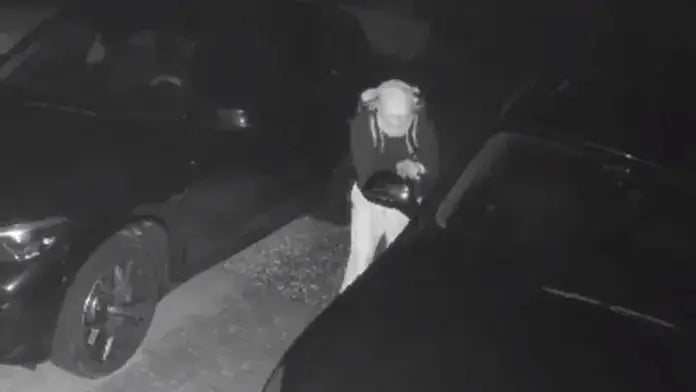 Grote Golf Spiegelglasdiefstal in Cottbus – Audi-rijders Massaal Slachtoffer - Fritzlock.nl