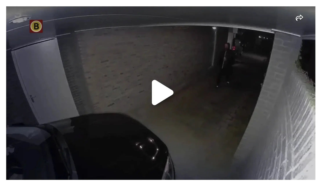 Golf van autospiegel-diefstallen in Brabant - FritzLock.nl