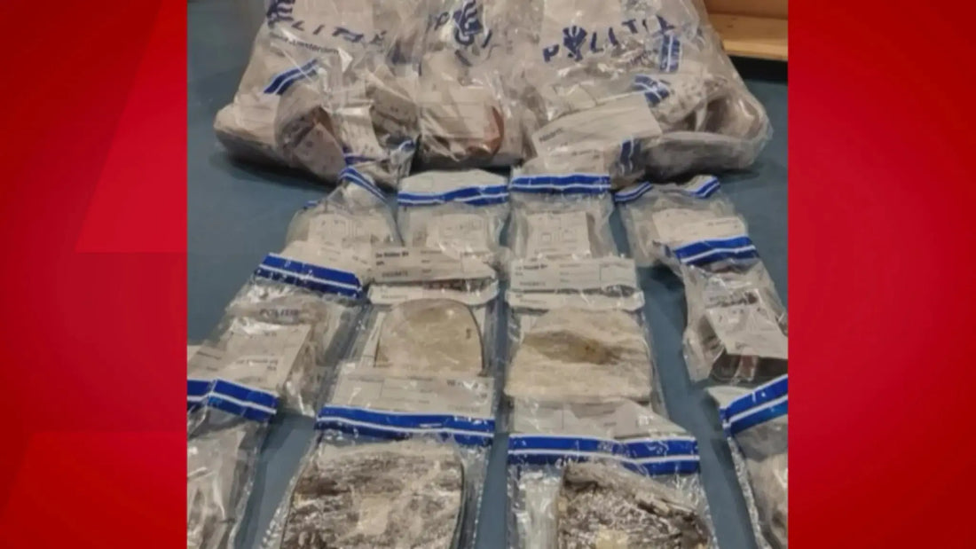 autospiegels gestolen Amsterdam – mannen opgepakt voor diefstal van ruim 200 autospiegels - FritzLock.nl